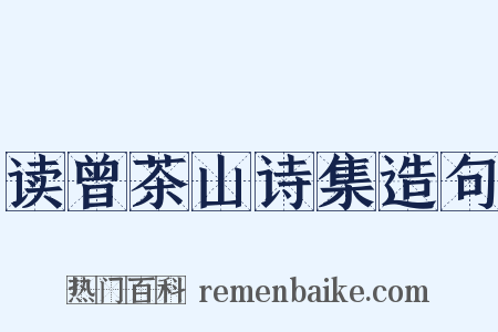 读曾茶山诗集造句是什么意思的图片